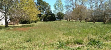 Beach Lot Sale Pending in Painter, Virginia