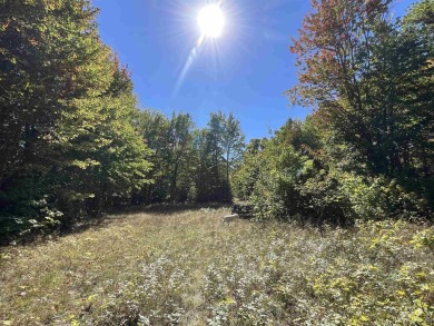 Beach Acreage Sale Pending in Grand Marais, Michigan