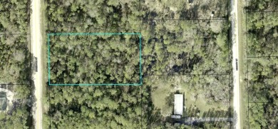 Beach Lot Sale Pending in Bunnell, Florida
