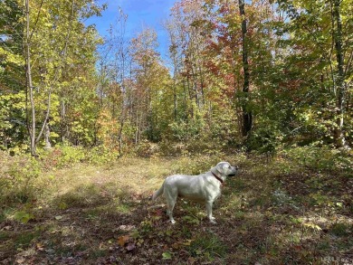 Beach Acreage Sale Pending in Grand Marais, Michigan