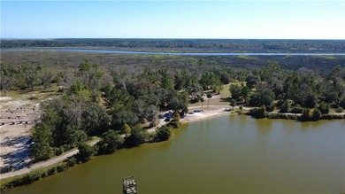 Beach Acreage For Sale in Brunswick, Georgia
