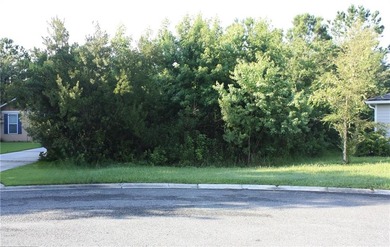 Beach Lot For Sale in Saint Marys, Georgia