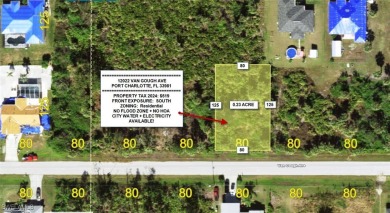 Beach Lot For Sale in Port Charlotte, Florida