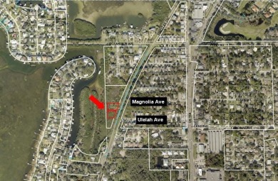 Beach Lot For Sale in Palm Harbor, Florida