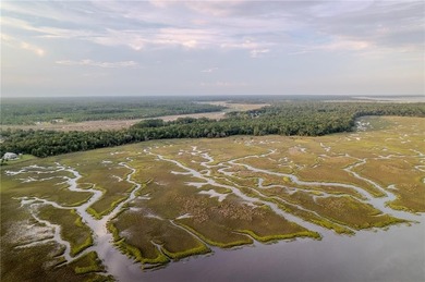 Beach Acreage For Sale in Woodbine, Georgia