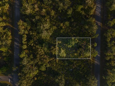 Beach Lot For Sale in Port Charlotte, Florida
