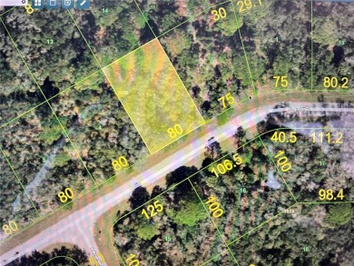 Beach Lot For Sale in Port Charlotte, Florida