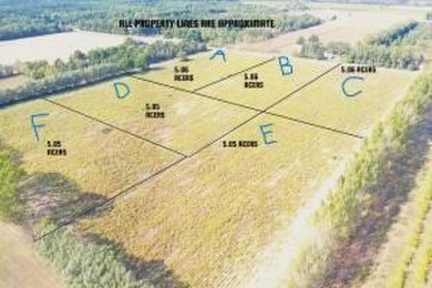 Beach Acreage For Sale in Shelby, Michigan