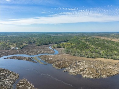 Beach Acreage For Sale in Waverly, Georgia