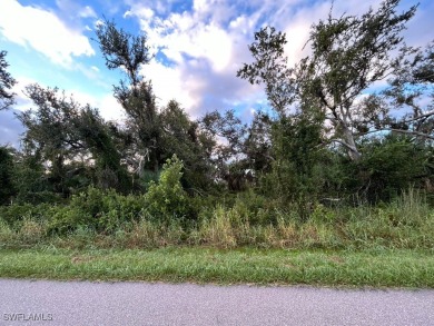 Beach Lot For Sale in Punta Gorda, Florida