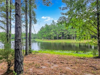 Beach Lot For Sale in Waverly, Georgia