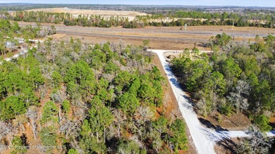 Beach Lot For Sale in Weeki Wachee, Florida