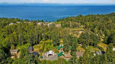 TWO separate properties. Ocean views, walk to the beach! TWO - Beach Home for sale in Courtenay, British Columbia on Beachhouse.com