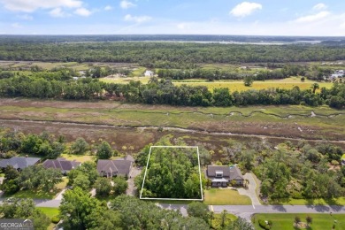Beach Lot For Sale in Brunswick, Georgia