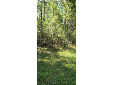Beach Lot For Sale in Milton, Florida