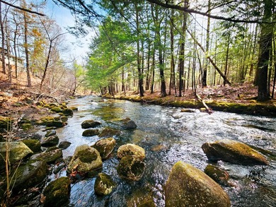 Beach Home For Sale in Wilton, Maine