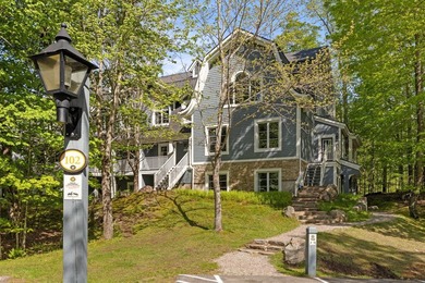 Condo For Sale in Mont-Tremblant image photo picture