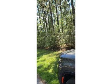 Beach Lot For Sale in Milton, Florida