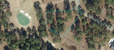 Beach Lot Active Under Contract in Townsend, Georgia