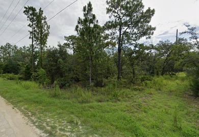 Beach Lot For Sale in Weeki Wachee, Florida