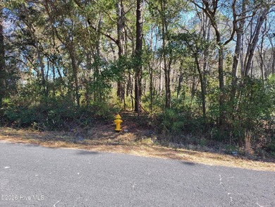 Beach Lot For Sale in Supply, North Carolina