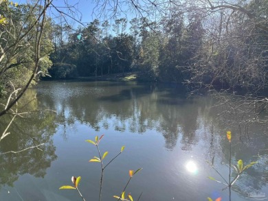 Beach Lot For Sale in Pensacola, Florida