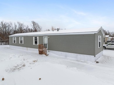 Beach Home For Sale in Alanson, Michigan