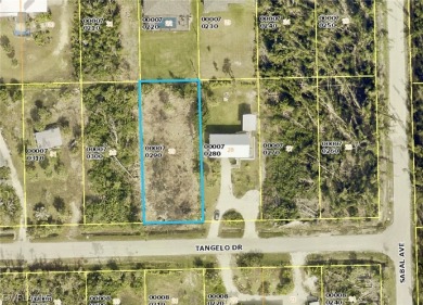Beach Lot For Sale in St. James City, Florida