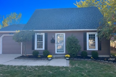 Beach Home For Sale in Avon Lake, Ohio