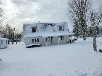 Beach Home For Sale in Angola, New York