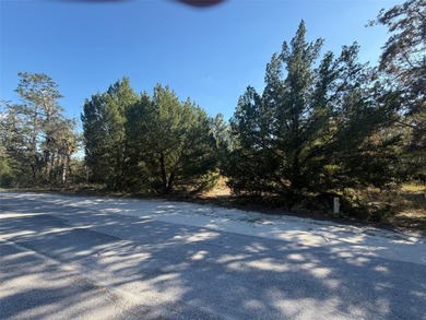 Beach Lot For Sale in Homosassa, Florida