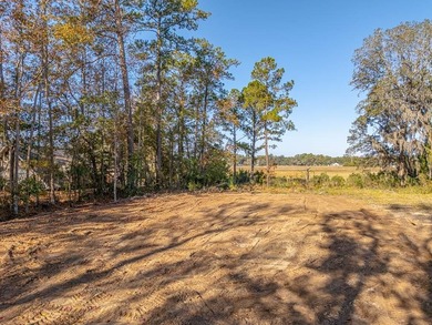 Beach Lot For Sale in Townsend, Georgia