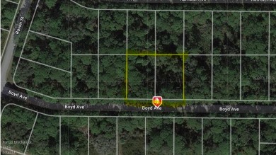 Beach Lot For Sale in North Port, Florida