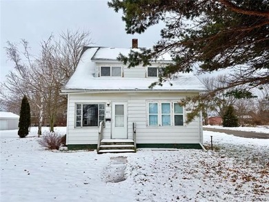 Beach Home For Sale in Harbor Beach, Michigan