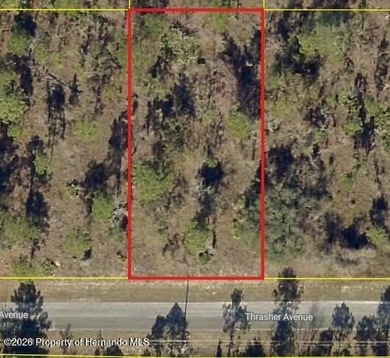 Beach Lot Sale Pending in Weeki Wachee, Florida