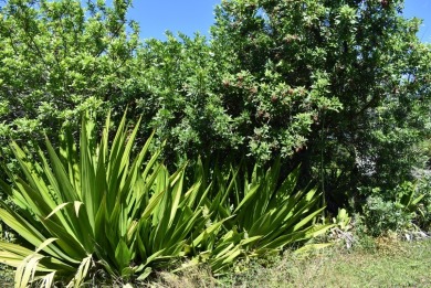 Beach Lot Off Market in Naalehu, Hawaii