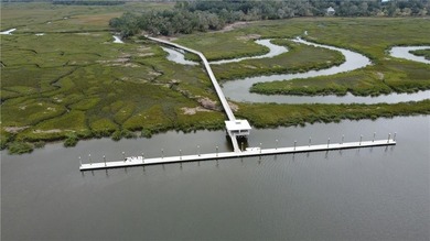 Beach Lot For Sale in Townsend, Georgia