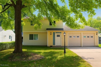 Beach Home For Sale in Eastlake, Ohio