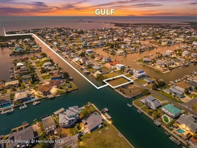 Beach Lot For Sale in Hernando Beach, Florida