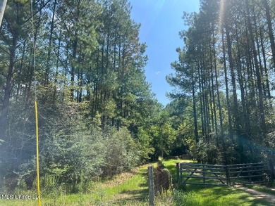 Beach Acreage For Sale in Ocean Springs, Mississippi