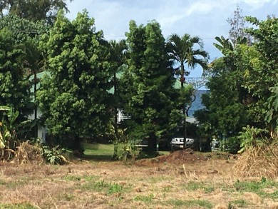 Beach Lot Off Market in Hilo, Hawaii