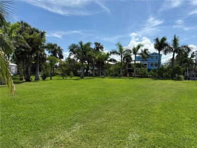 Beach Lot For Sale in Terra Ceia, Florida