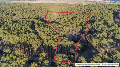 Beach Acreage For Sale in Oriental, North Carolina