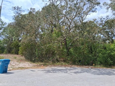 Beach Lot For Sale in Spring Hill, Florida