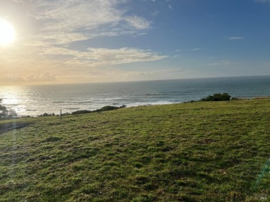 Beach Lot For Sale in Irish Beach, California