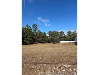 Beach Commercial For Sale in Townsend, Georgia