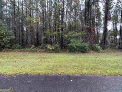 Beach Lot For Sale in Waverly, Georgia