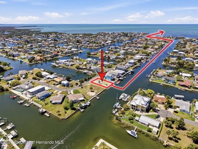 Beach Lot For Sale in Hernando Beach, Florida