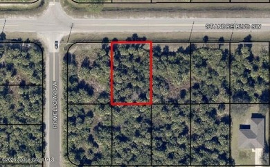 Beach Lot For Sale in Palm Bay, Florida