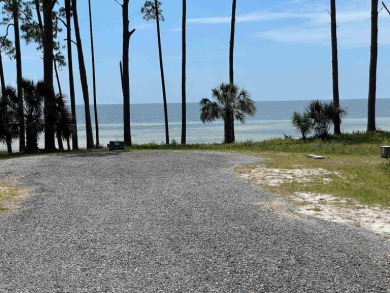 Beach Lot For Sale in Sopchoppy, Florida